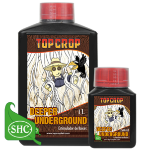 Deeper Underground – Radici -TOP CROP