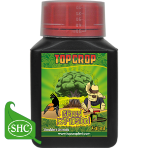 Green Explosion – Stimolatore Crescita – Top Crop