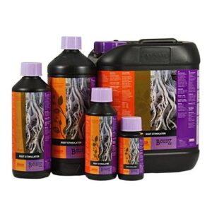 Root Stimulator – Radici – ATAMI