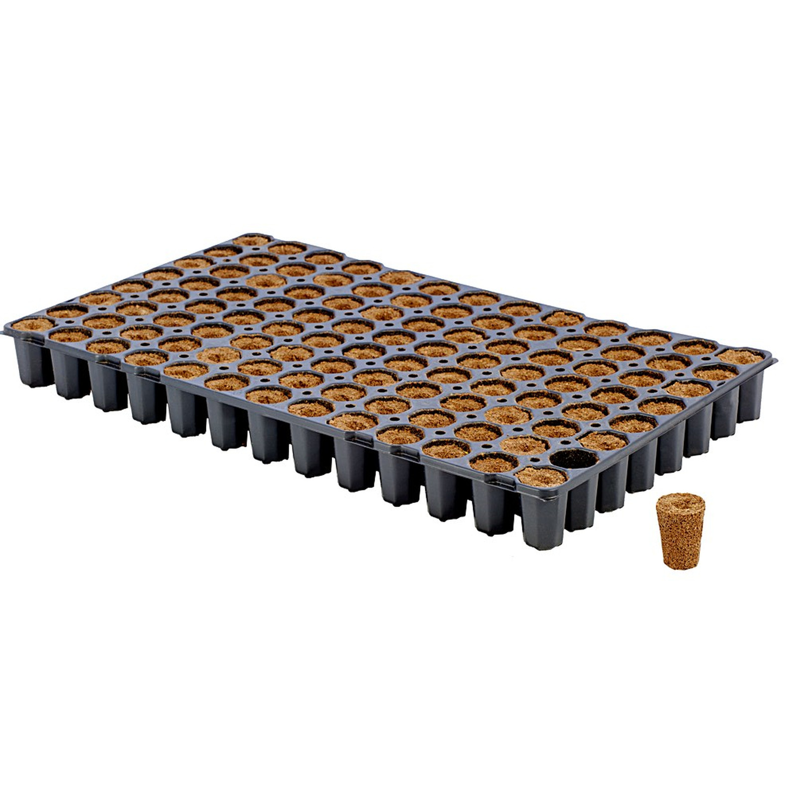 eazy plug germinazione taleaggio