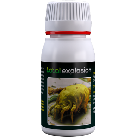 total explosion agrobacterias