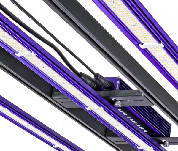 Zeus 300W PRO 3.1 - Lumatek Led - immagine 4