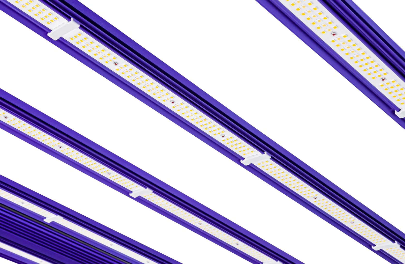 Led Zeus 1000W PRO EVO 3.1 - Lumatek - immagine 3