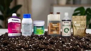 Fertilizzanti per la Coltivazione in Terra