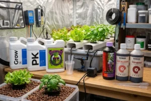 fertilizzanti per idroponica